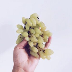 Green Seedless Grapes