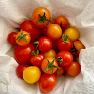 Roma Tomatoes